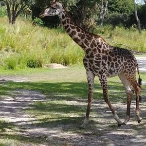 Meet your Posher, Ann